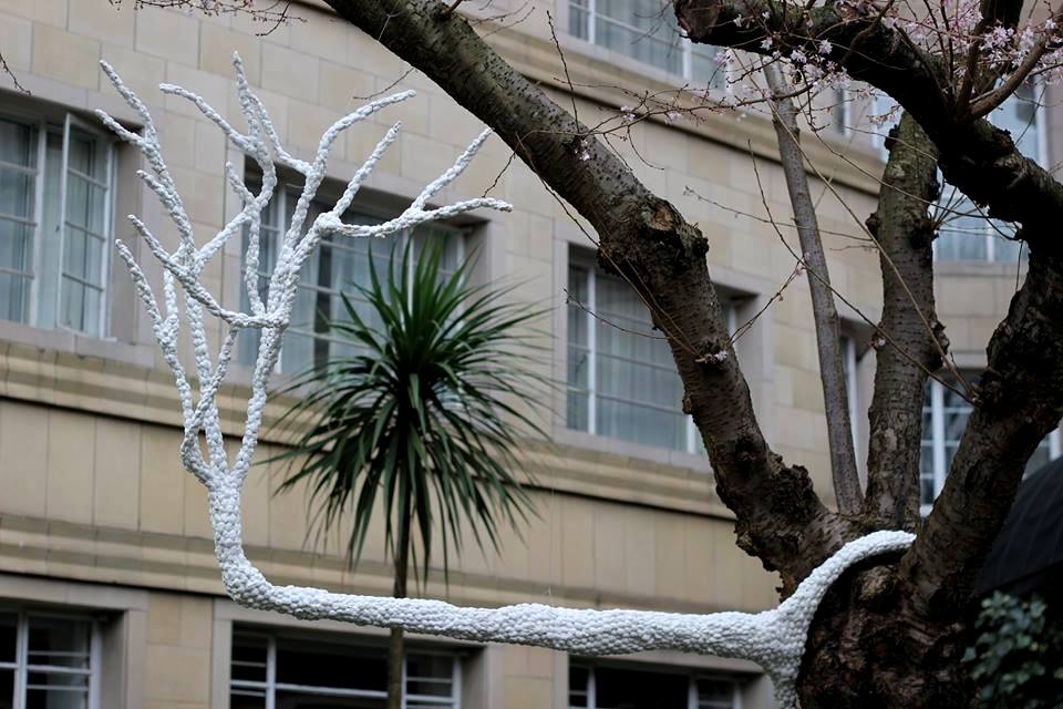 key-of-nature-detail